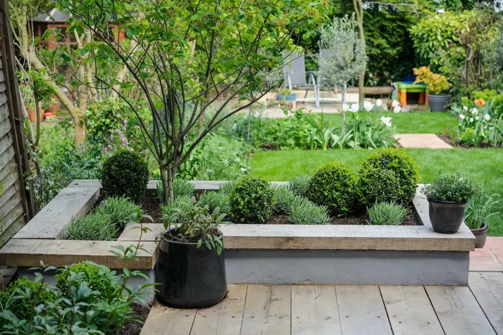 Garden Beds and Planting