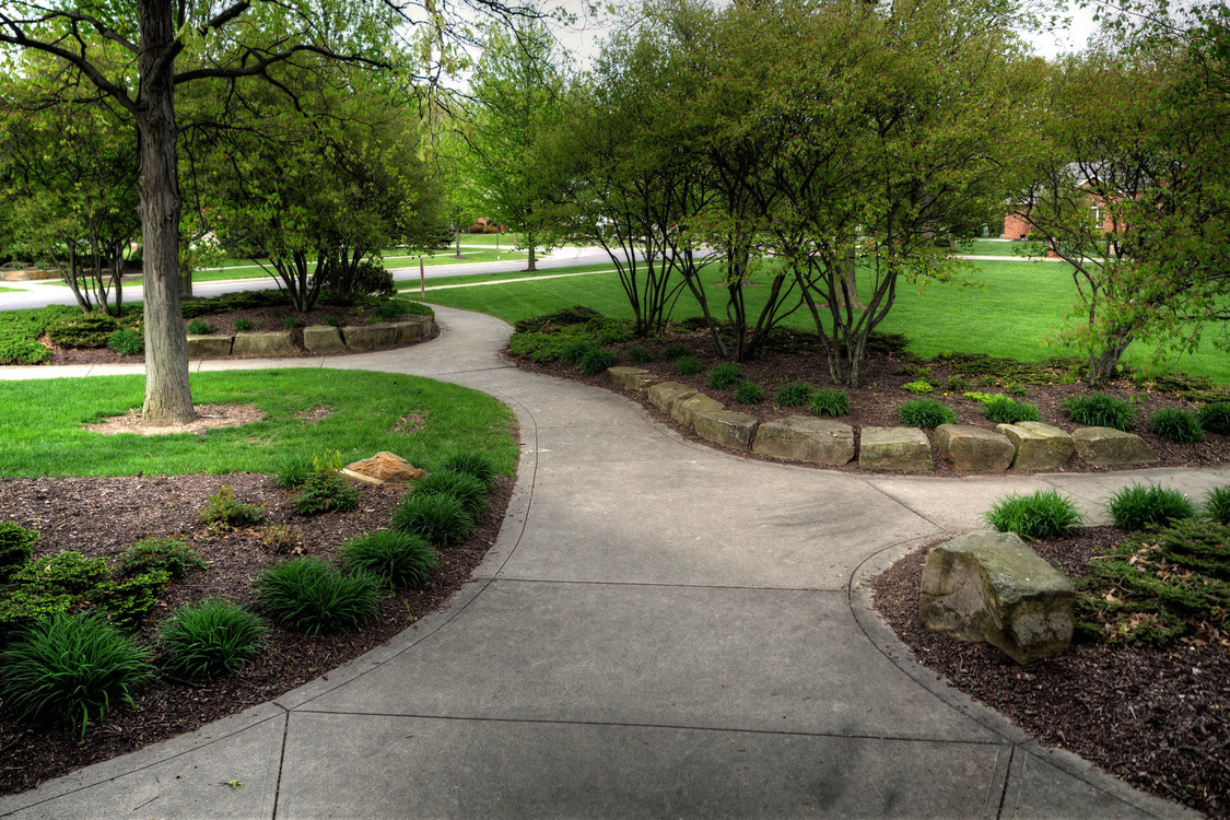 Landscaping
